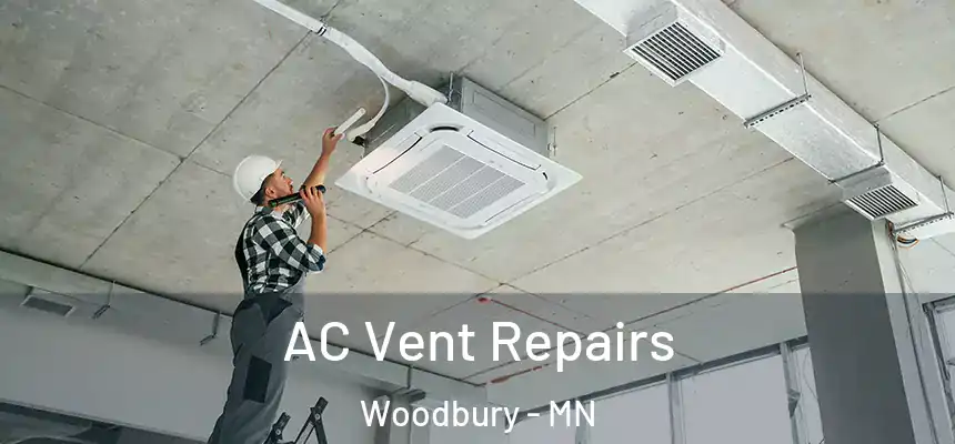  AC Vent Repairs Woodbury - MN