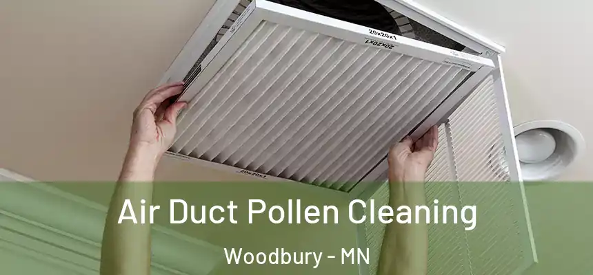 Air Duct Pollen Cleaning Woodbury - MN