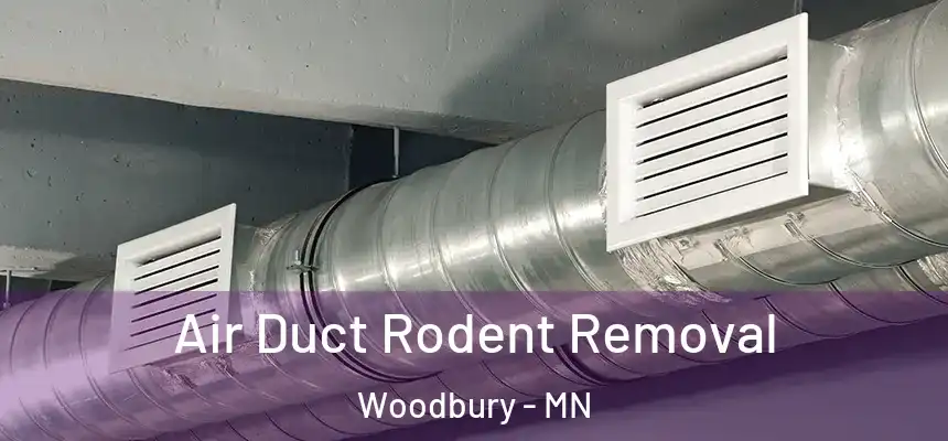 Air Duct Rodent Removal Woodbury - MN