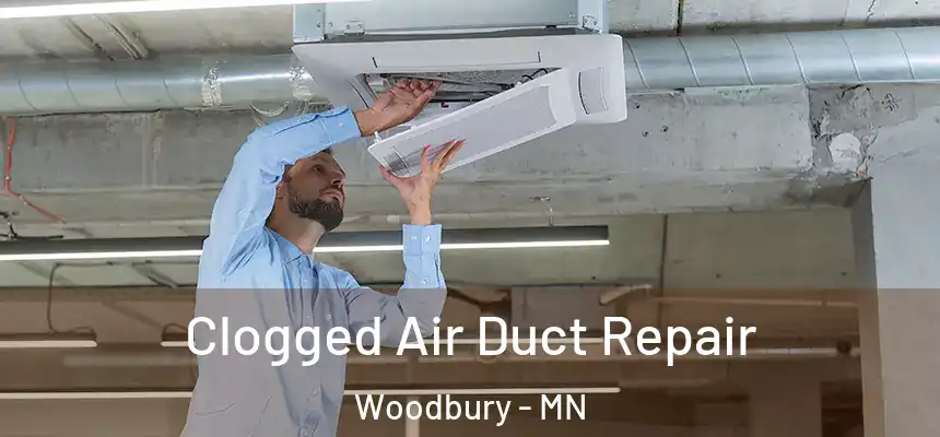  Clogged Air Duct Repair Woodbury - MN