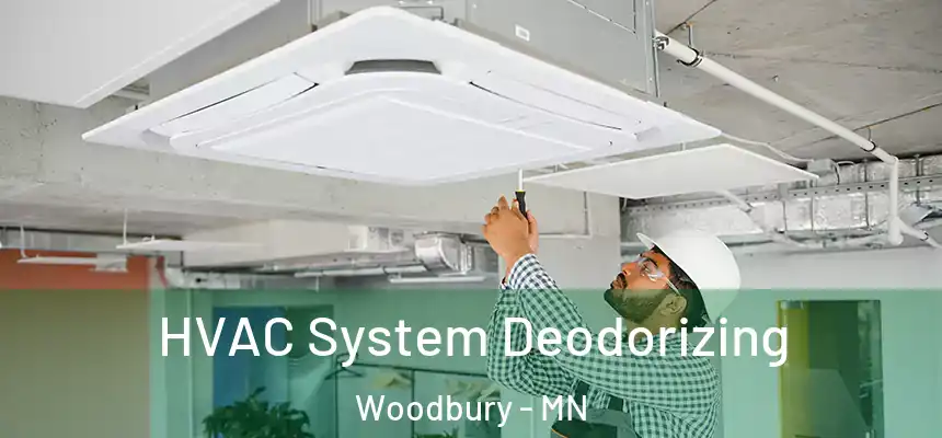  HVAC System Deodorizing Woodbury - MN