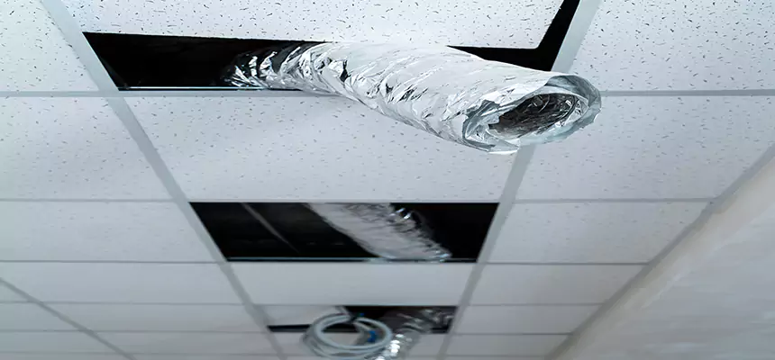 Affordable HVAC Sanitizing After Pest Removal in Woodbury