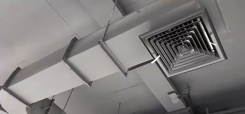 Restorative Allergy Relief Vent Cleaning – Coil, Blower & Housing Detail in Woodbury