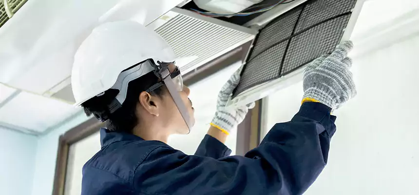 Our Mold & Mildew Removal from Air Ducts Services in Woodbury, MN