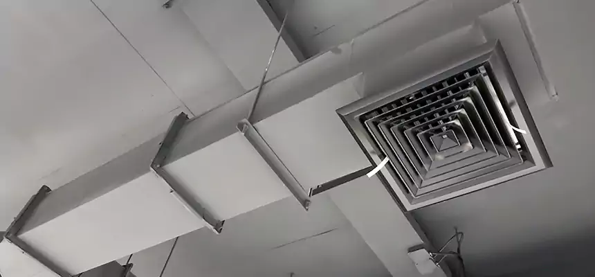 Our Rodent Droppings In Vents Services in Woodbury, MN