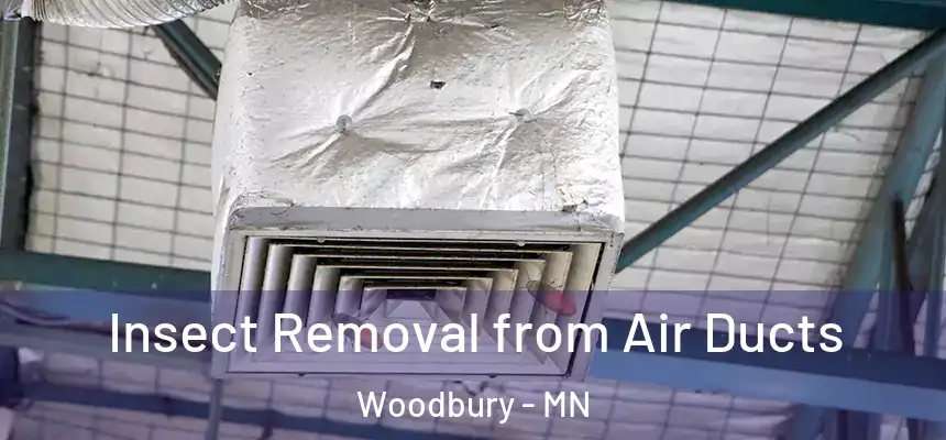  Insect Removal from Air Ducts Woodbury - MN