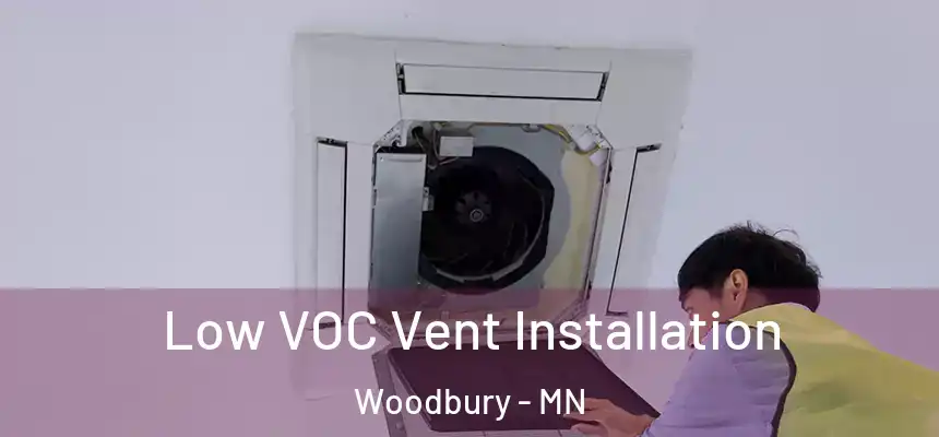Low VOC Vent Installation Woodbury - MN