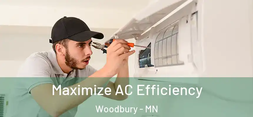  Maximize AC Efficiency Woodbury - MN