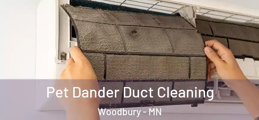  Pet Dander Duct Cleaning Woodbury - MN