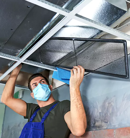 About Air Duct Bacteria Removal in Woodbury