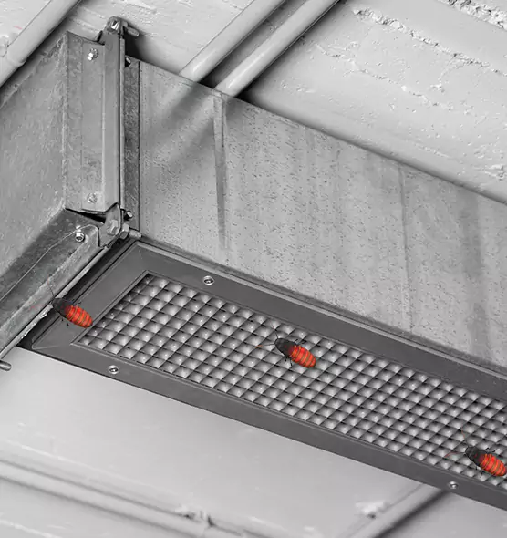 About Air Duct Cockroach Removal in Woodbury, MN