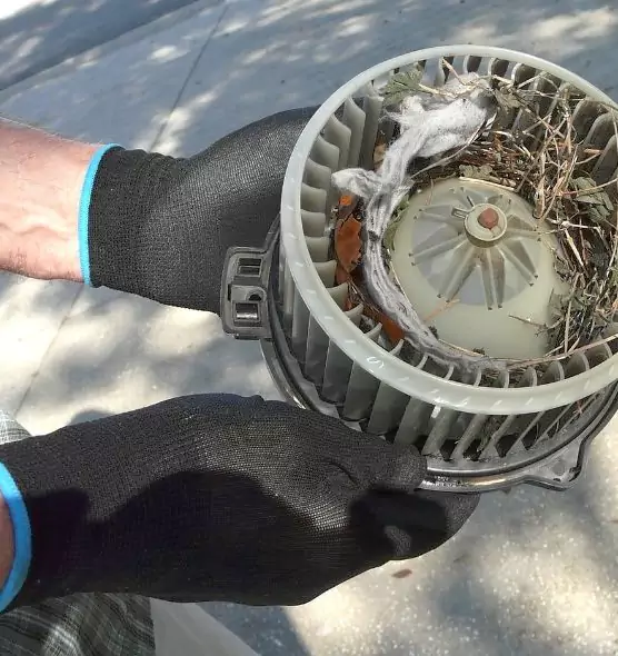 About Air Duct Mice Removal in Woodbury, MN