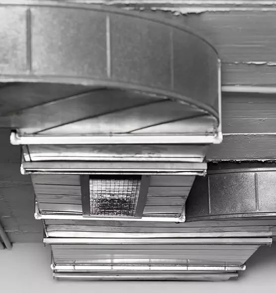 Professional Air Duct Pest Removal in Woodbury, MN