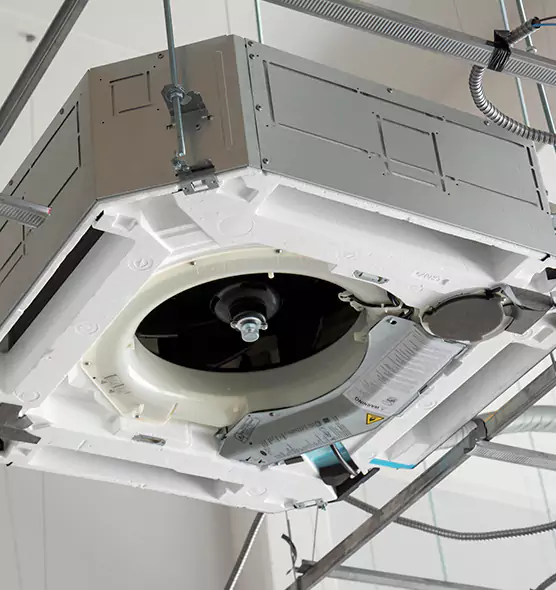 Professional Roof Vent Lint Removal Woodbury, MN