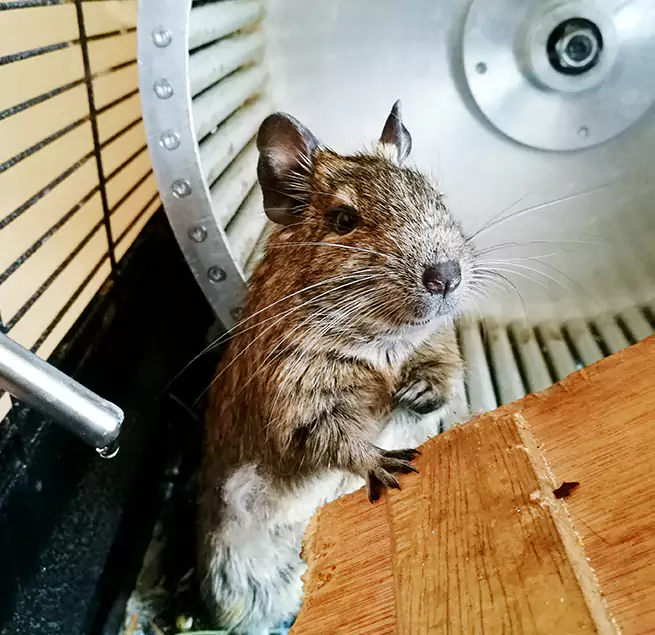 Why Homeowners & Businesses Trust Us Woodbury, MN?