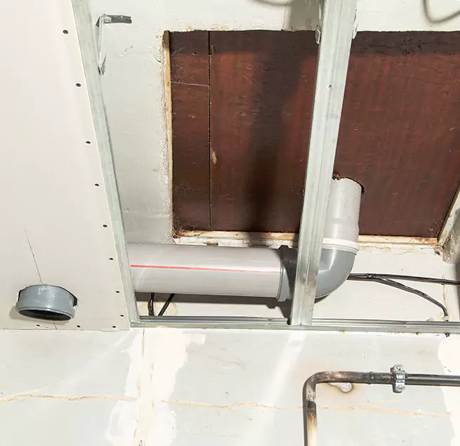 Why Homeowners & Businesses Trust Us in Woodbury, MN?