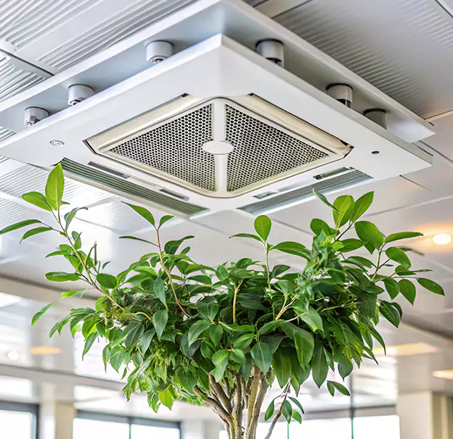 Why Homeowners & Businesses Trust Us in Woodbury, MN?