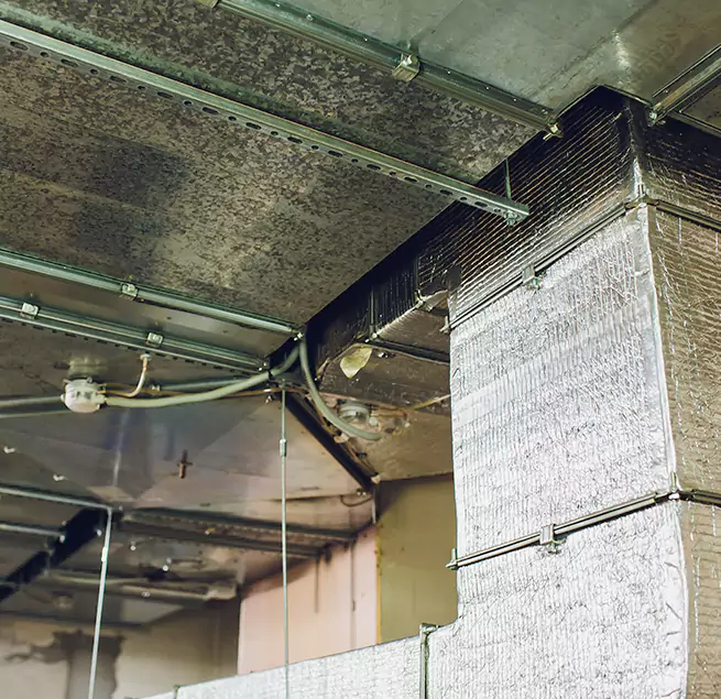 Why Homeowners & Businesses Trust Us in Woodbury, MN?