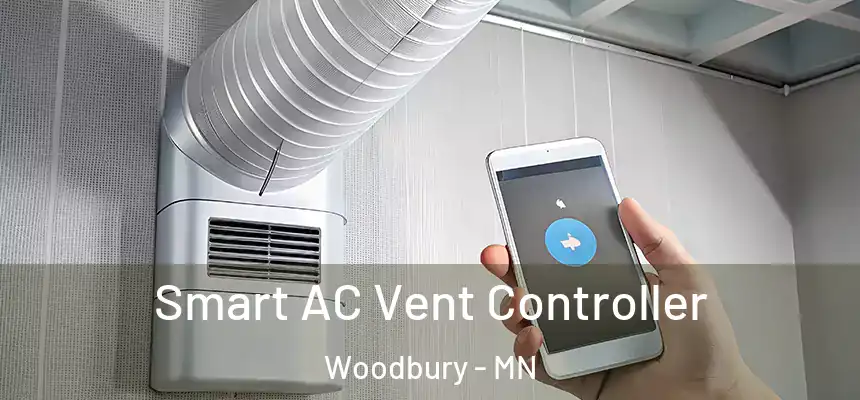  Smart AC Vent Controller Woodbury - MN