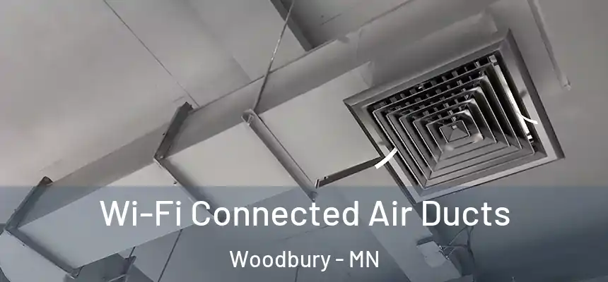 Wi-Fi Connected Air Ducts Woodbury - MN